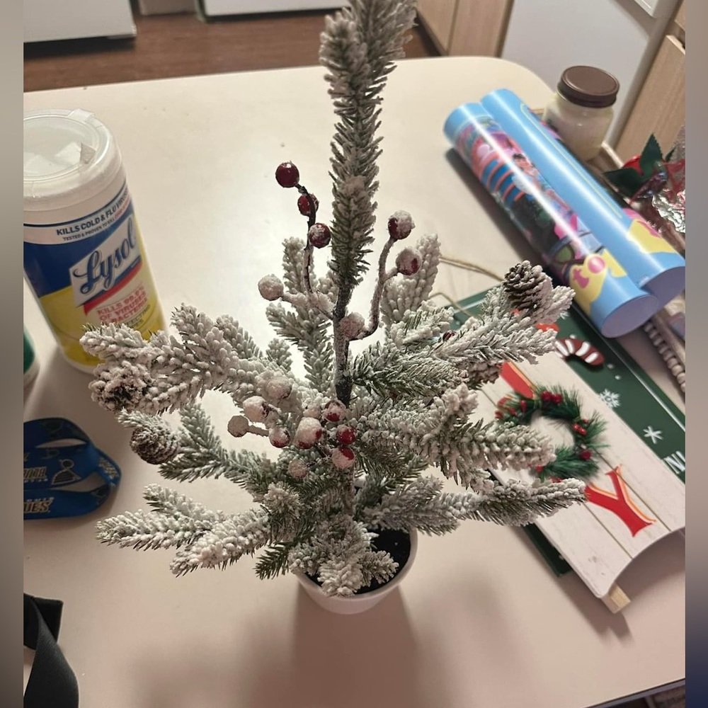 Holiday Decor - Picture 4 of 5